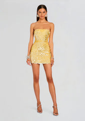 Nolia Sequin Embellished Dress