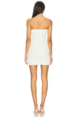 Aliso Mini Dress